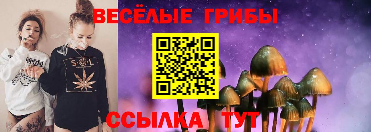 Псилоцибиновые грибы Psilocybine cubensis  Вход с VPN  Фурманов 