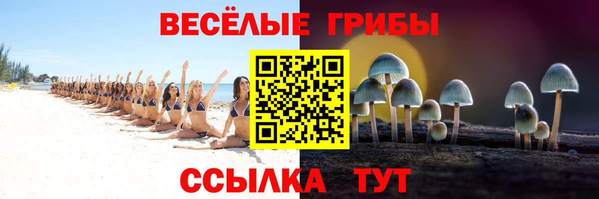 Галлюциногенные грибы Psilocybe Фурманов